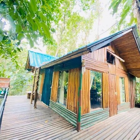 Khao Sok Tree House Resort Khao Sok National Park Ngoại thất bức ảnh