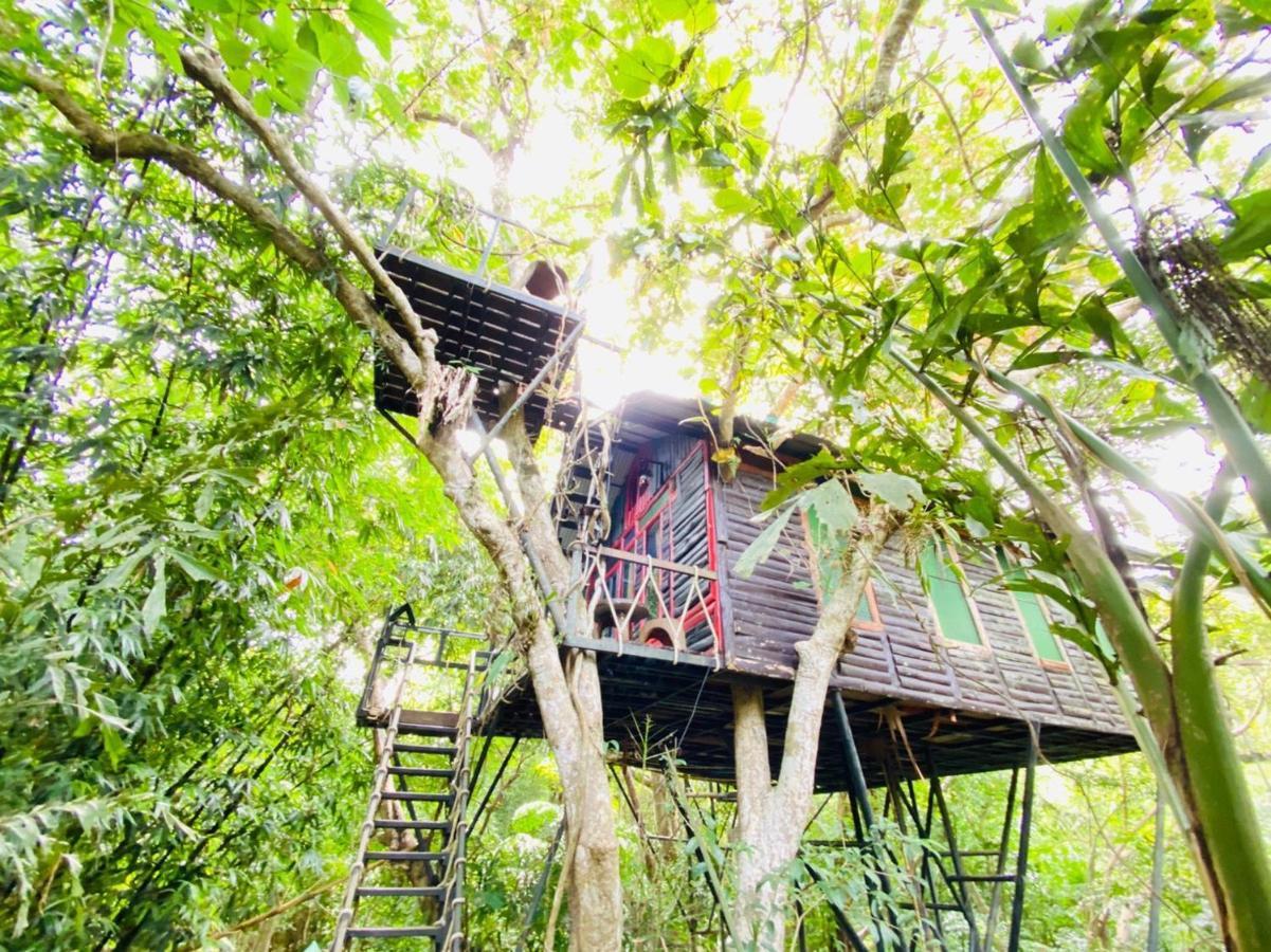 Khao Sok Tree House Resort Khao Sok National Park Ngoại thất bức ảnh