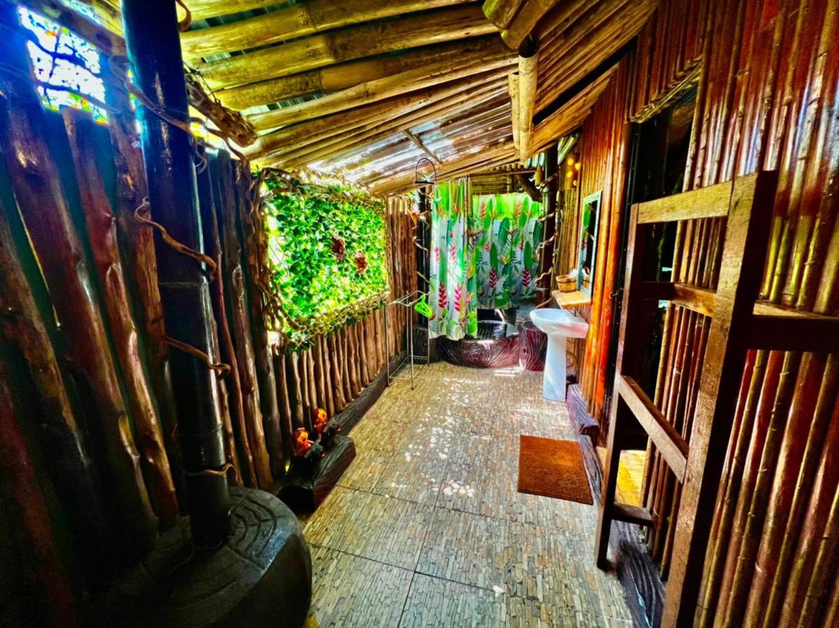Khao Sok Tree House Resort Khao Sok National Park Ngoại thất bức ảnh