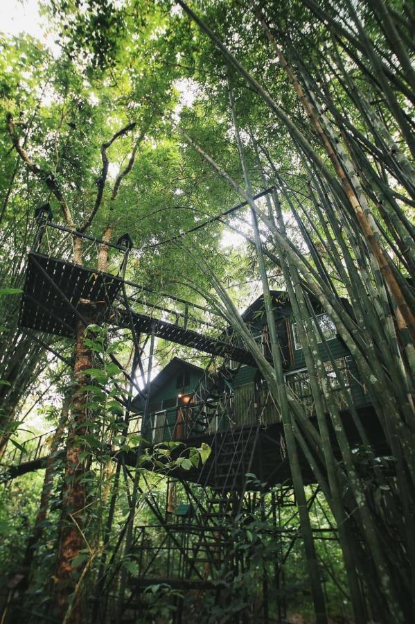 Khao Sok Tree House Resort Khao Sok National Park Ngoại thất bức ảnh