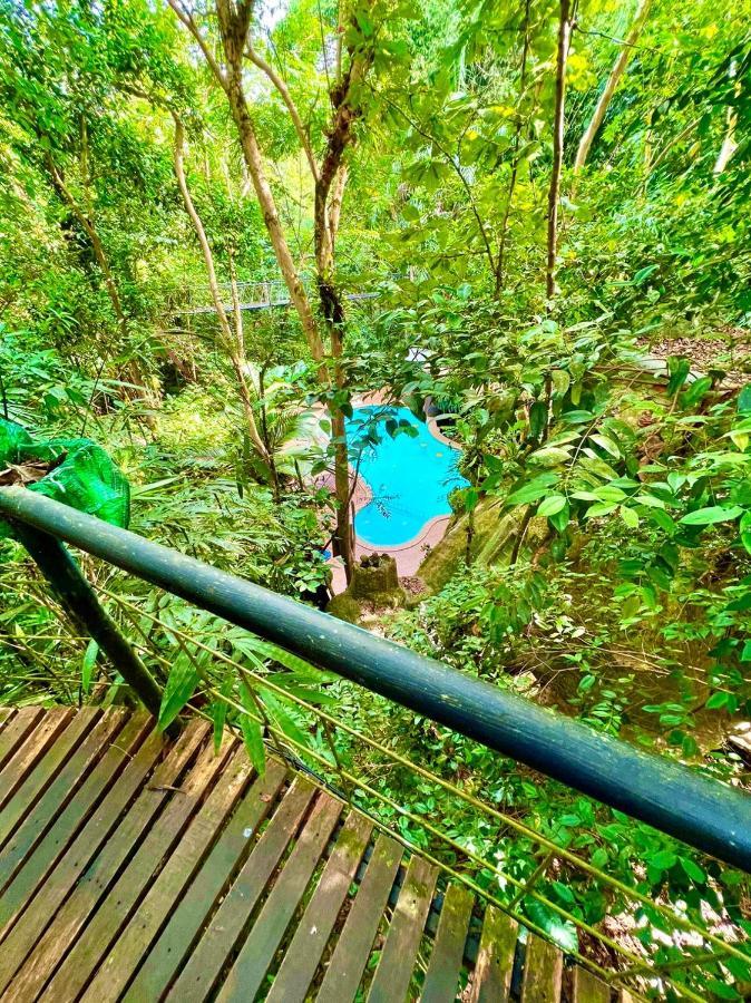 Khao Sok Tree House Resort Khao Sok National Park Ngoại thất bức ảnh