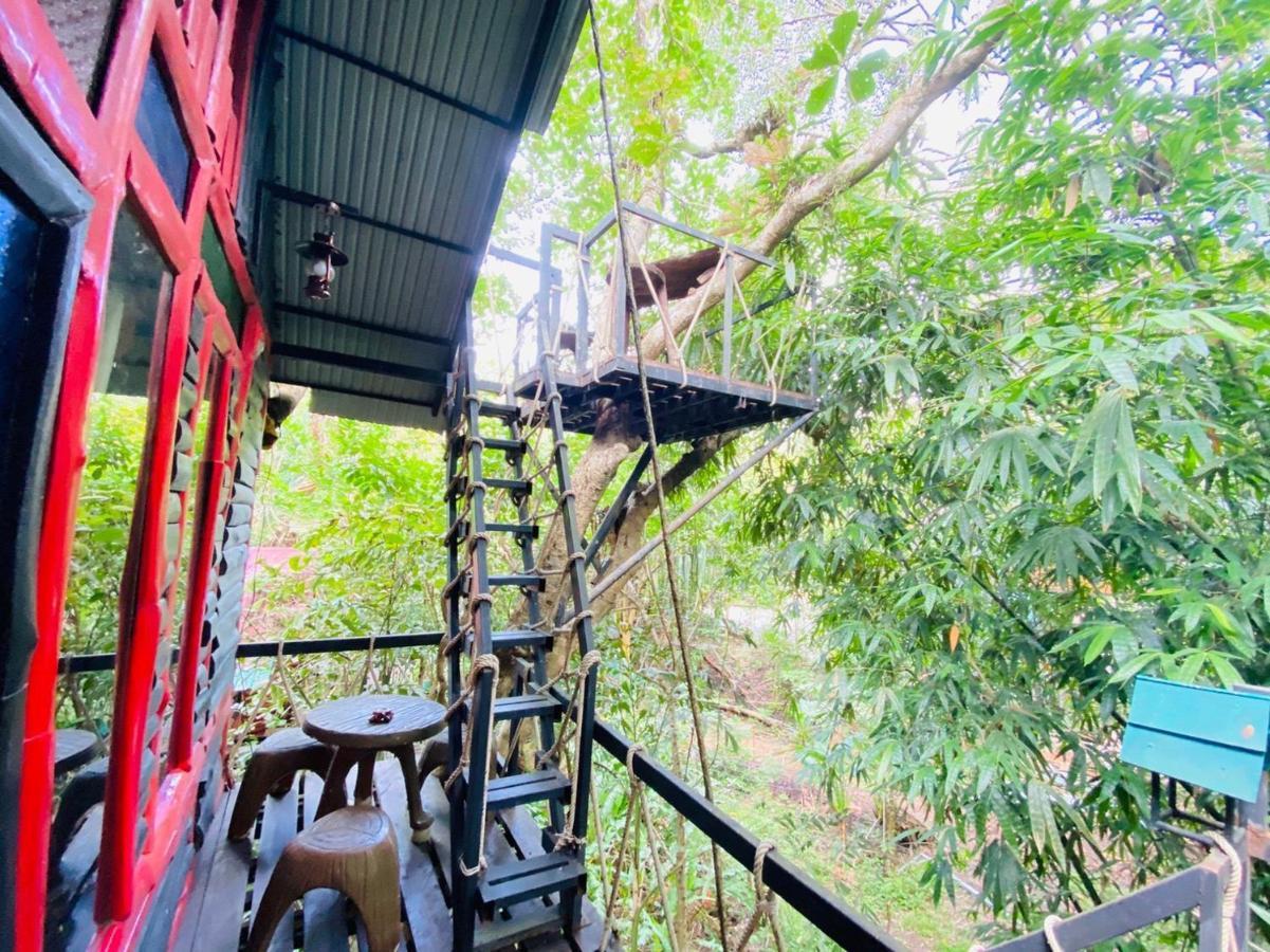 Khao Sok Tree House Resort Khao Sok National Park Ngoại thất bức ảnh