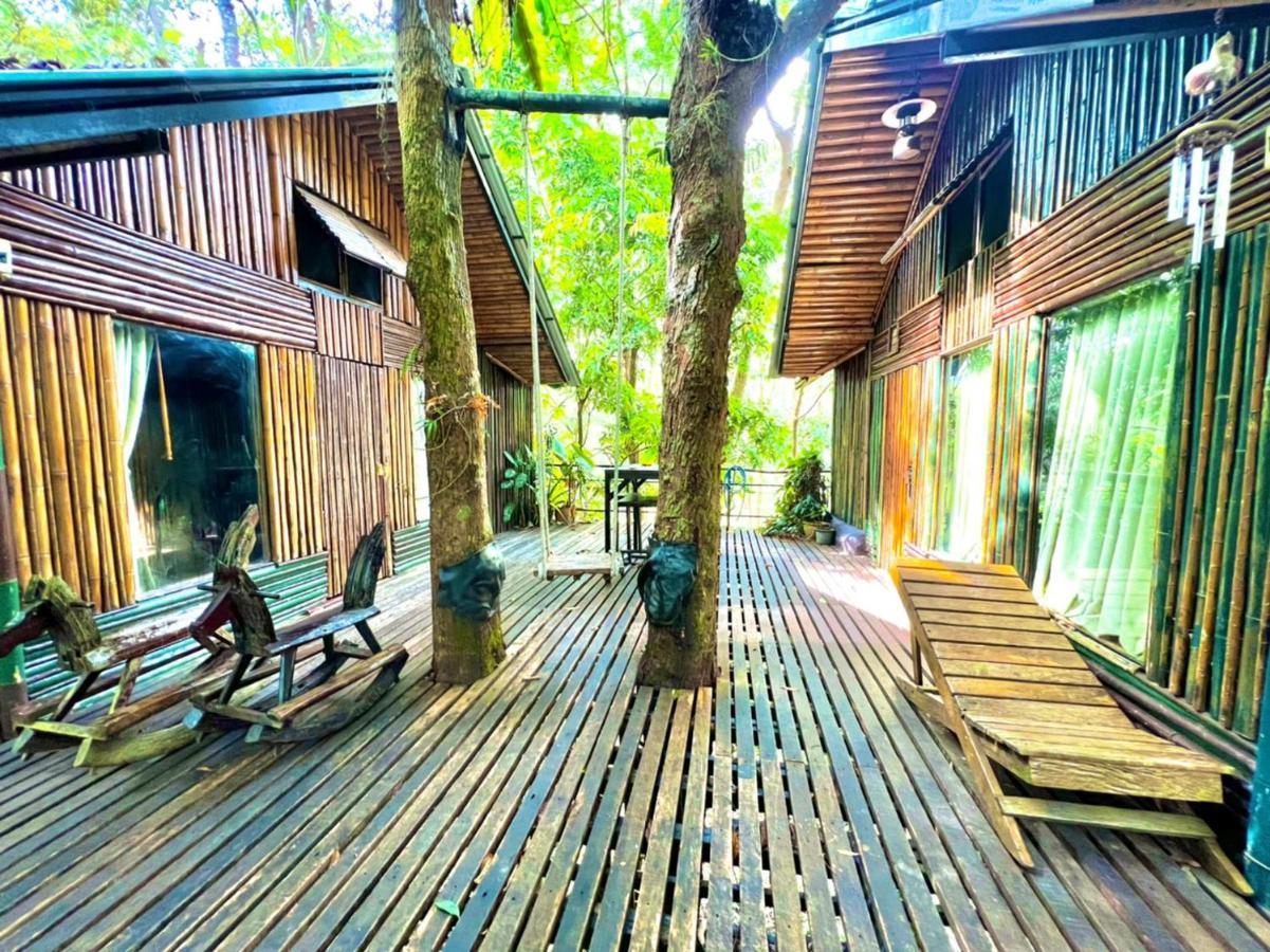 Khao Sok Tree House Resort Khao Sok National Park Ngoại thất bức ảnh