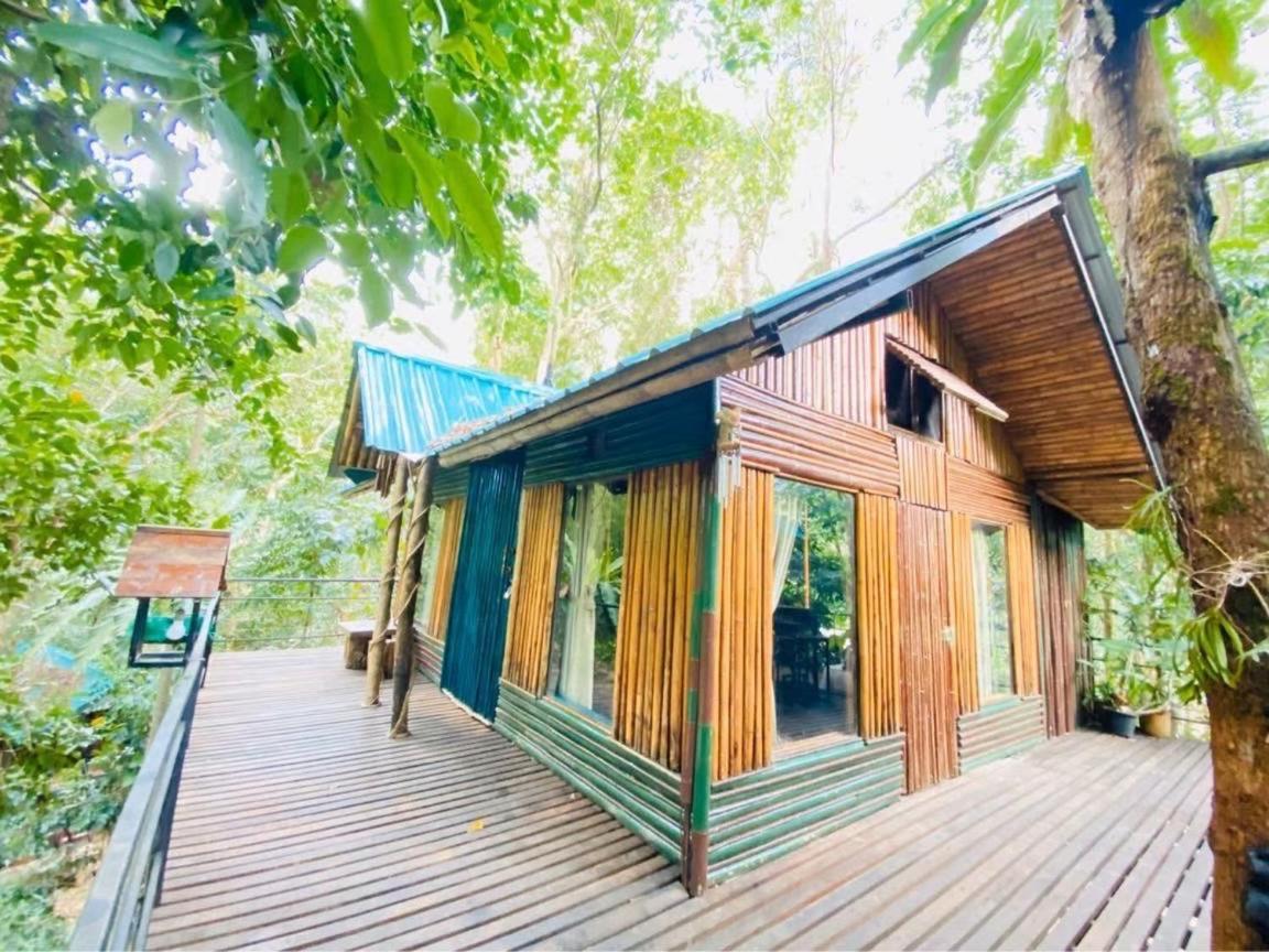 Khao Sok Tree House Resort Khao Sok National Park Ngoại thất bức ảnh