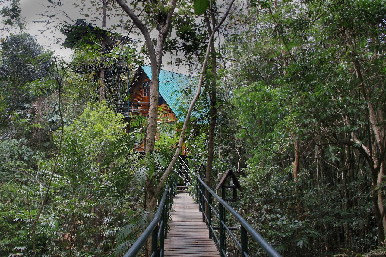 Khao Sok Tree House Resort Khao Sok National Park Ngoại thất bức ảnh