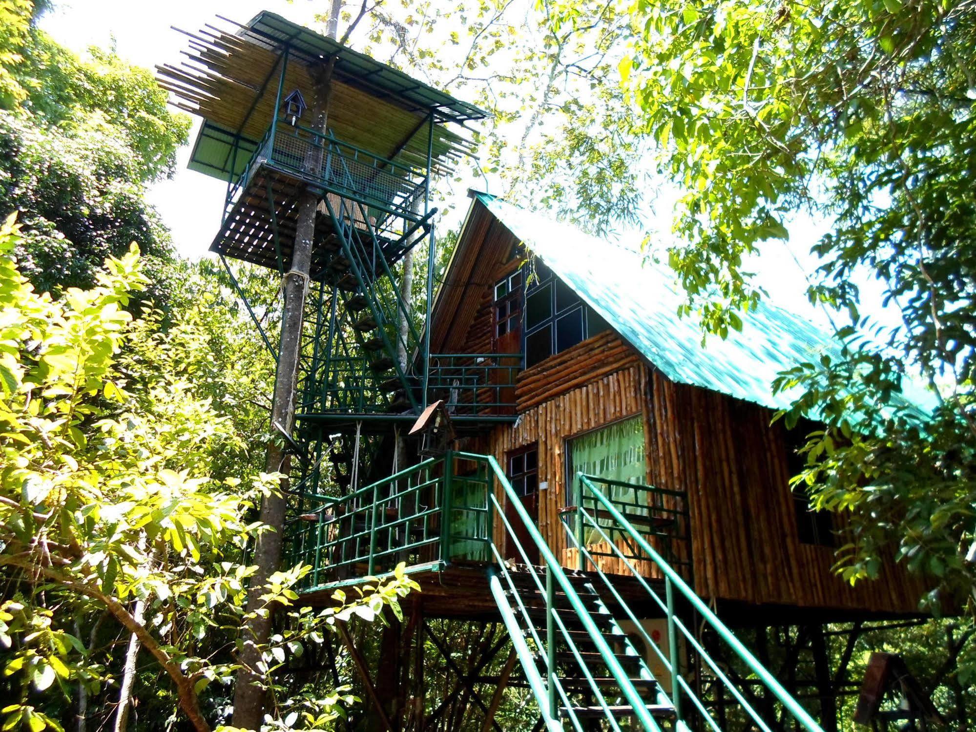 Khao Sok Tree House Resort Khao Sok National Park Ngoại thất bức ảnh