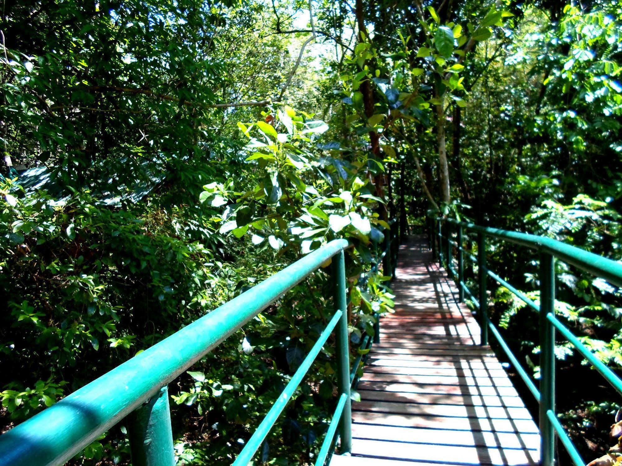 Khao Sok Tree House Resort Khao Sok National Park Ngoại thất bức ảnh