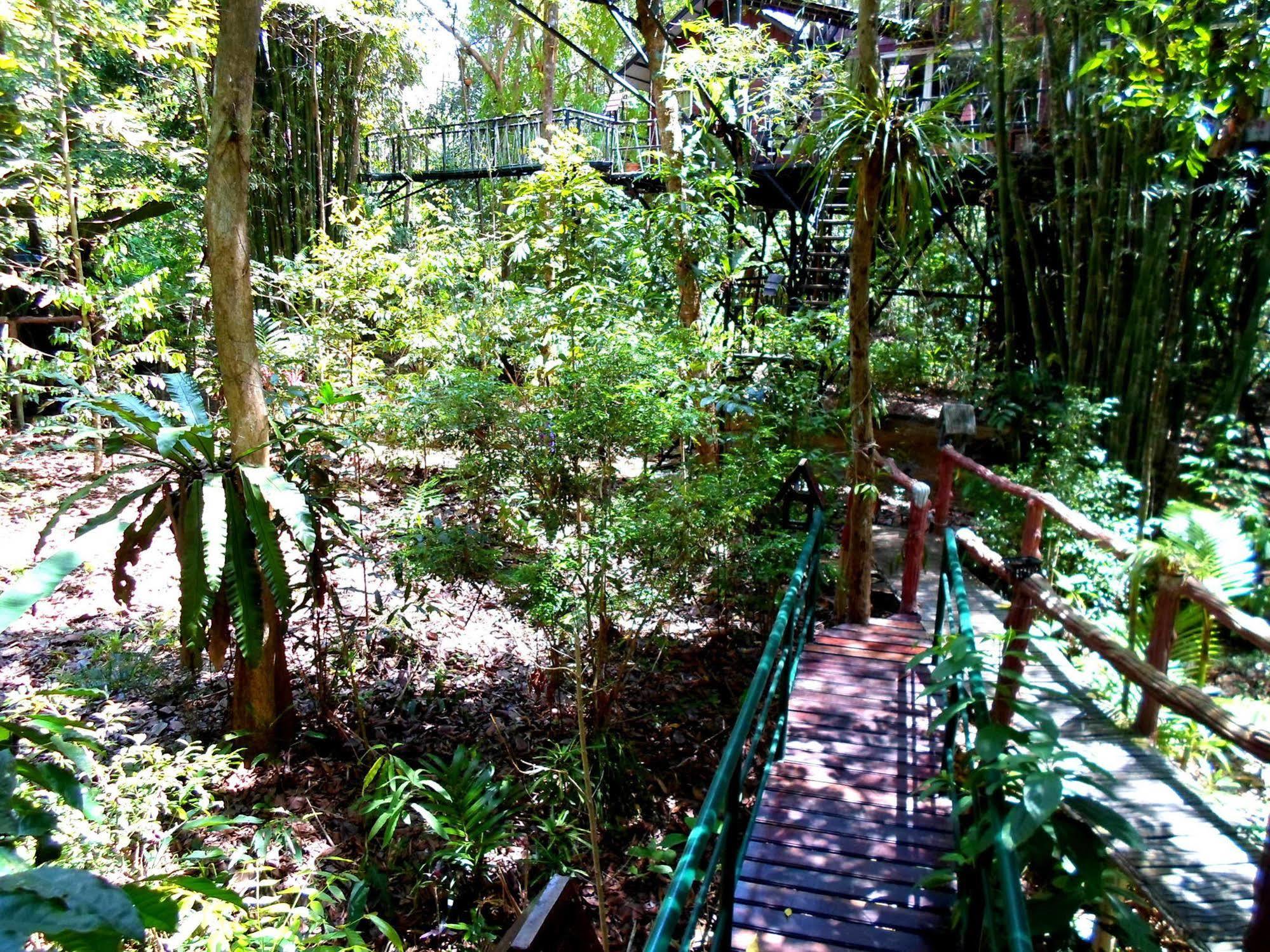 Khao Sok Tree House Resort Khao Sok National Park Ngoại thất bức ảnh