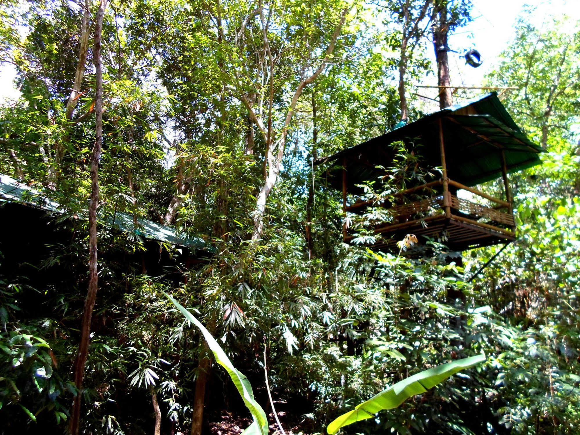Khao Sok Tree House Resort Khao Sok National Park Ngoại thất bức ảnh