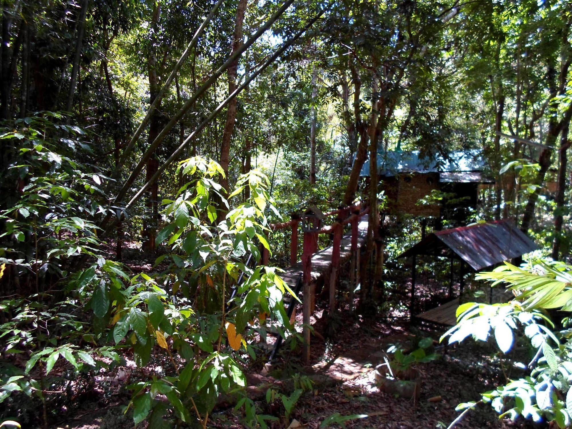 Khao Sok Tree House Resort Khao Sok National Park Ngoại thất bức ảnh