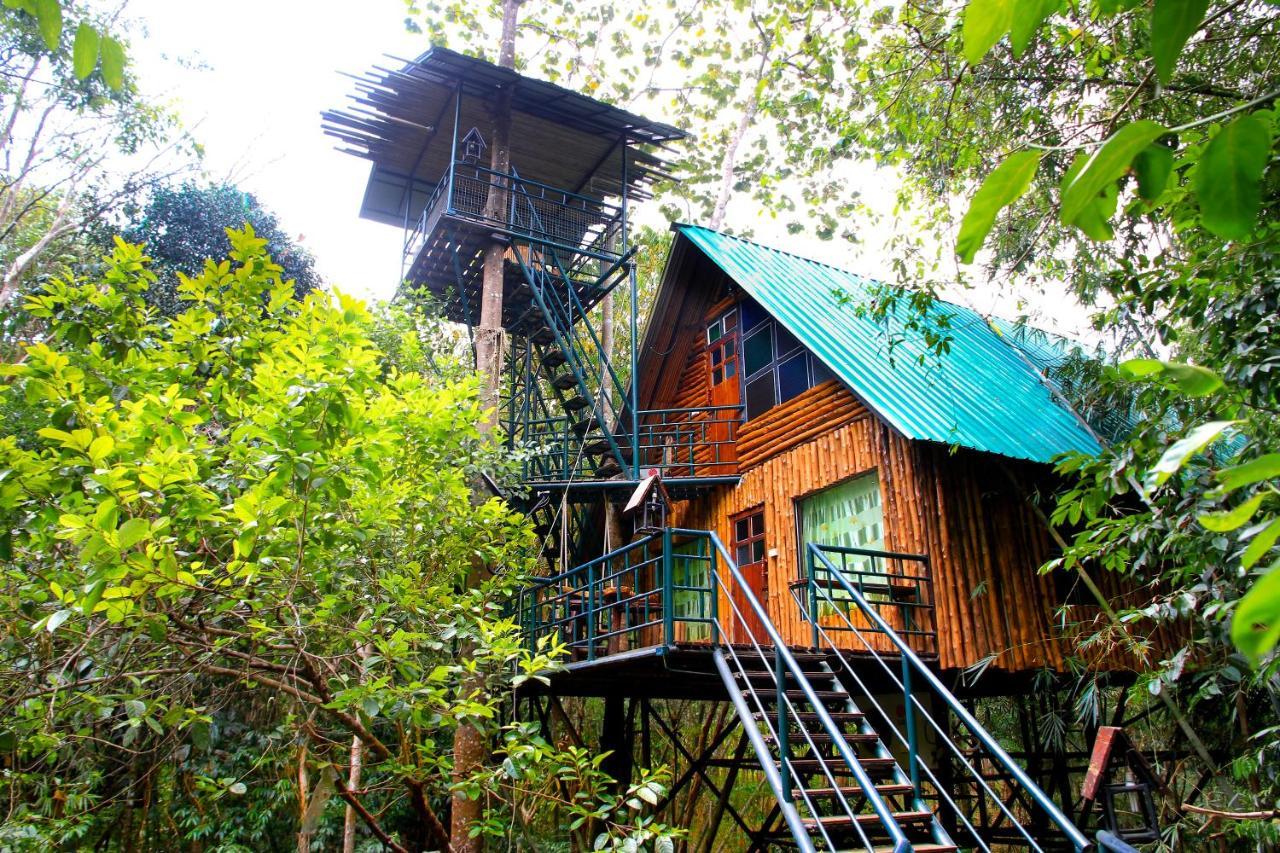 Khao Sok Tree House Resort Khao Sok National Park Ngoại thất bức ảnh