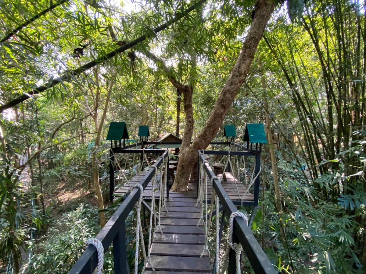Khao Sok Tree House Resort Khao Sok National Park Ngoại thất bức ảnh