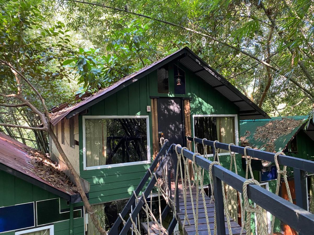 Khao Sok Tree House Resort Khao Sok National Park Ngoại thất bức ảnh