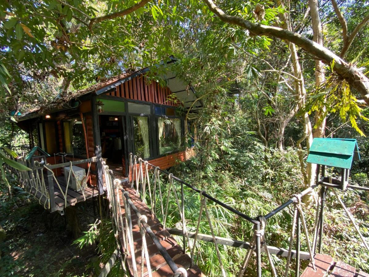 Khao Sok Tree House Resort Khao Sok National Park Ngoại thất bức ảnh