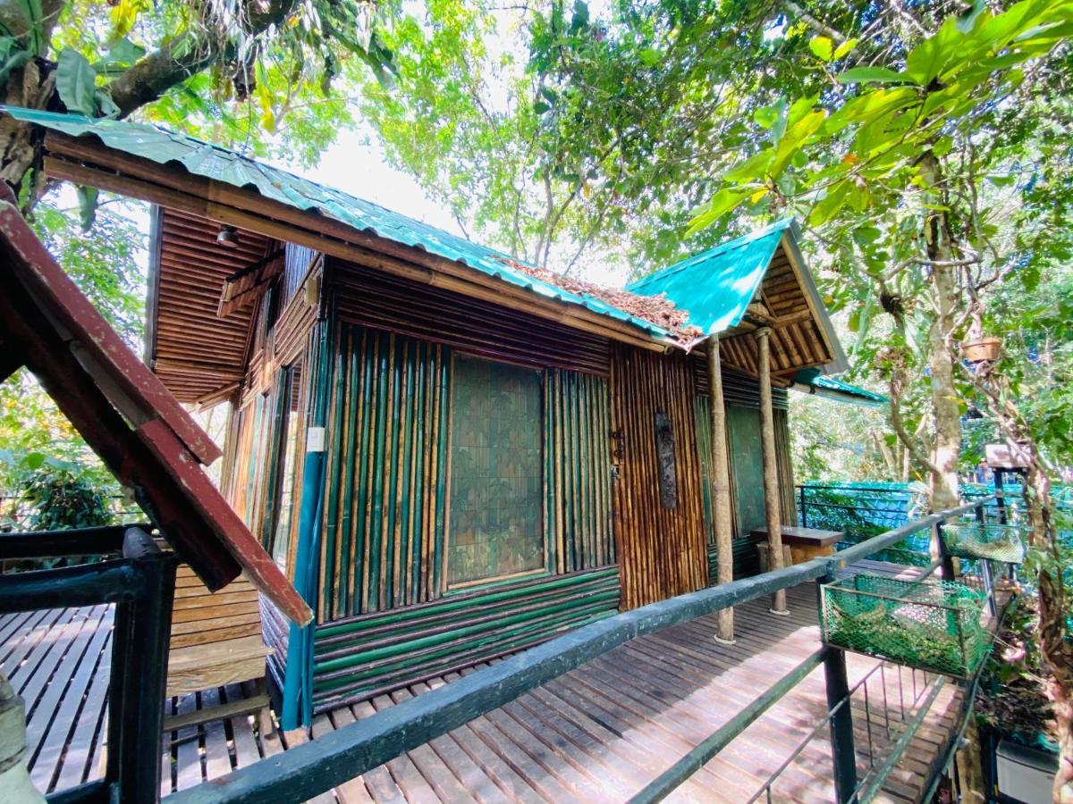Khao Sok Tree House Resort Khao Sok National Park Ngoại thất bức ảnh